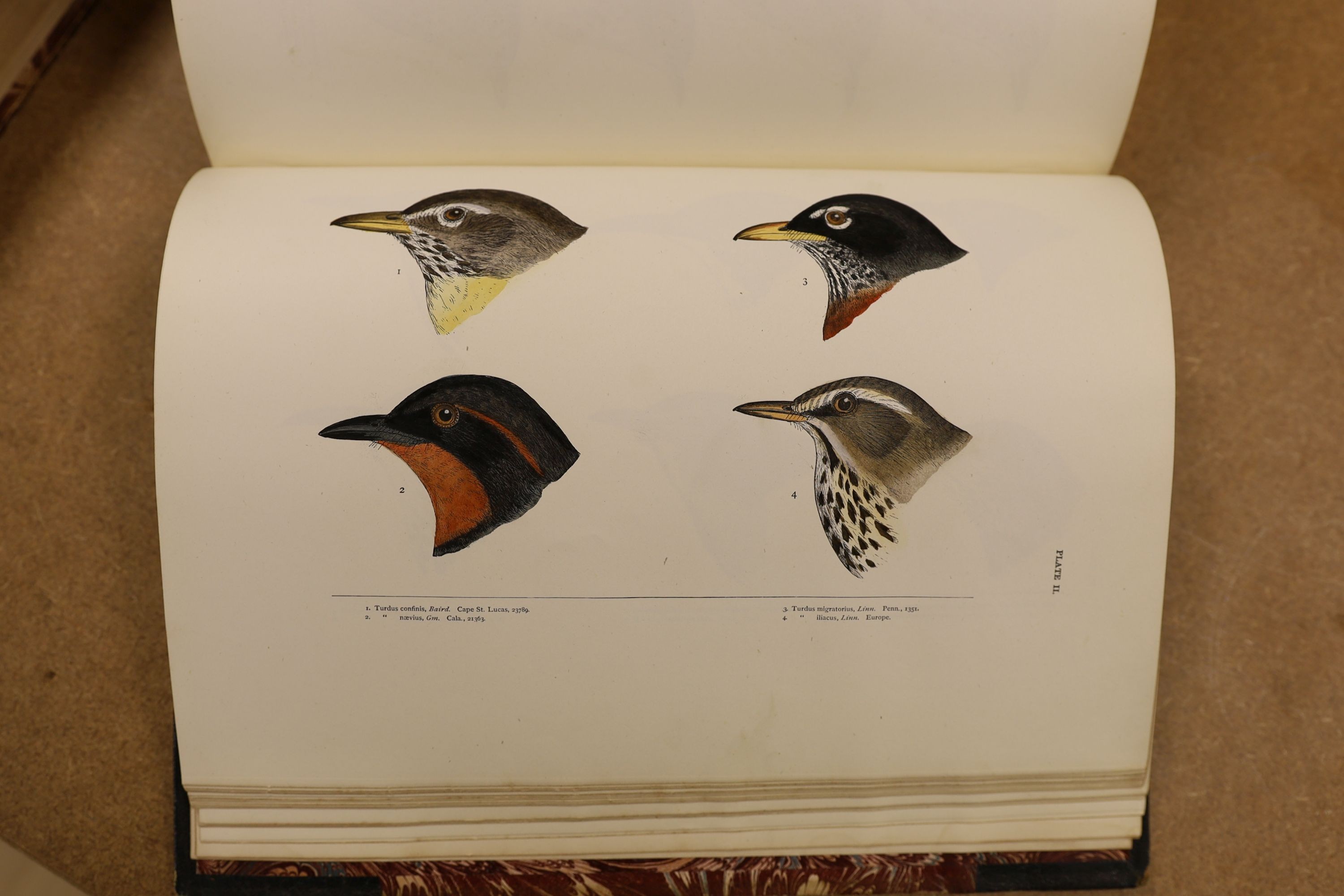 Baird, S.F. & Others - A History of North America Birds: Land Birds, 3 vols., coloured plates and other illus.; old half leather and marbled boards, gilt tops and marbled e/ps., 4to.